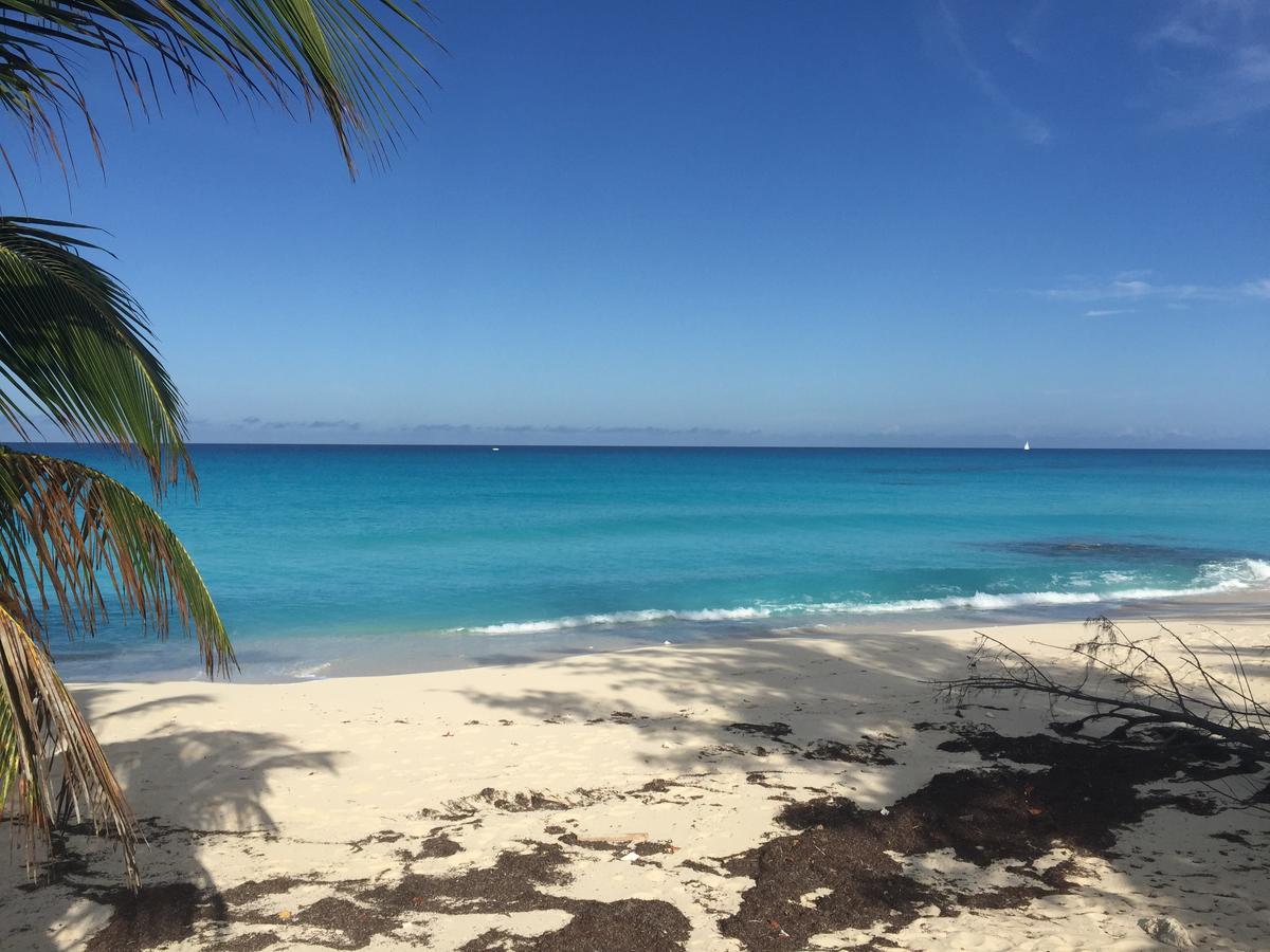 Bimini Seaside Villas - Pink Cottage With Beach View Alice Town  Esterno foto