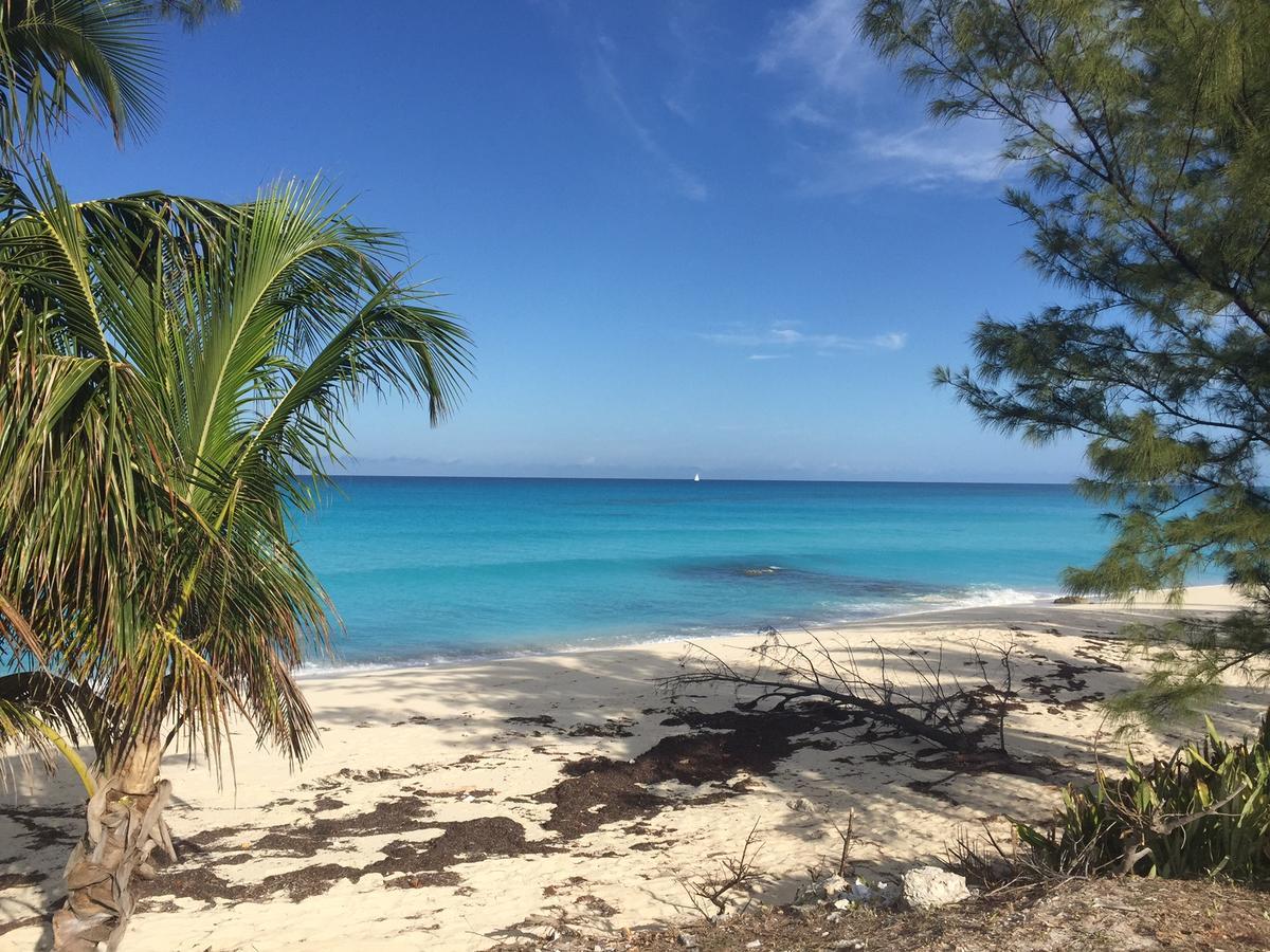 Bimini Seaside Villas - Pink Cottage With Beach View Alice Town  Esterno foto